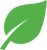 leaf graphic
